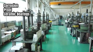 ตลับลูกปืนเซรามิกสำหรับแอปสแตนเลส