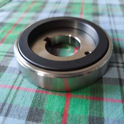 Silicon Carbide Sliding Bearing for Canned Motor Pump Customized Design and Material for High-Temperature Applications